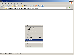 Empty TortoiseCVS Menu